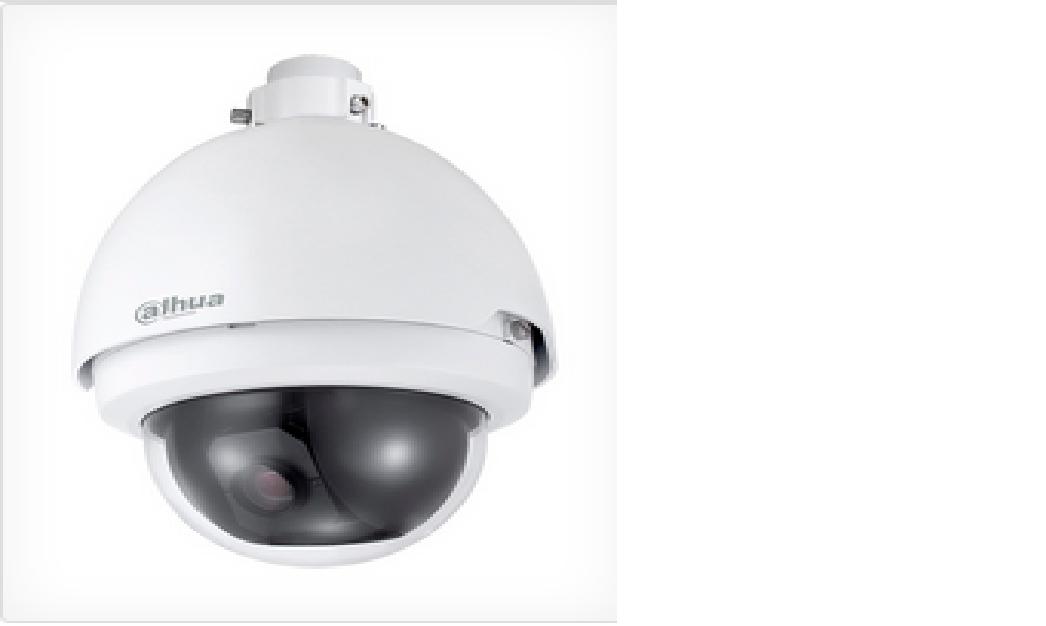 SD65220HN CAMARA IP SPEED DOME 