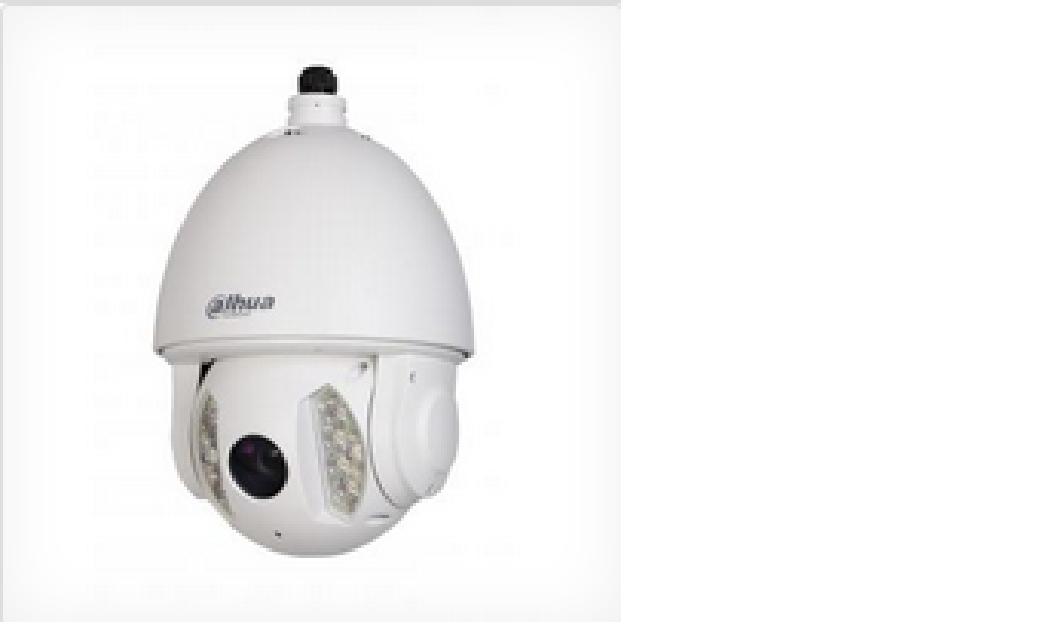 SD6A130HN CAMARA IP SPEED DOME 