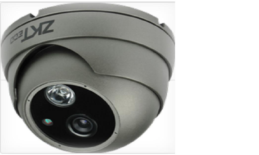  ZKMD532P  CAMARA IP